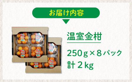 【先行予約】温室金柑 2㎏(250g×8パック)