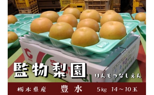 栃木県産 梨【豊水】5kg（14~10玉） ※2025年10月下旬～11月下旬頃に順次発送予定 ※離島への配送不可