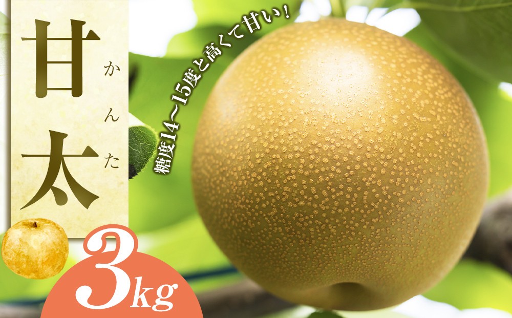 
                  【先行予約】甘太（かんた）3kg（JA）※2026年9月下旬～10月上旬頃に順次発送予定【梨 なし ナシ 鳥取県産 くだもの 果物 フルーツ 旬 鳥取県 北栄町 おすすめ 人気 3キロ】
                