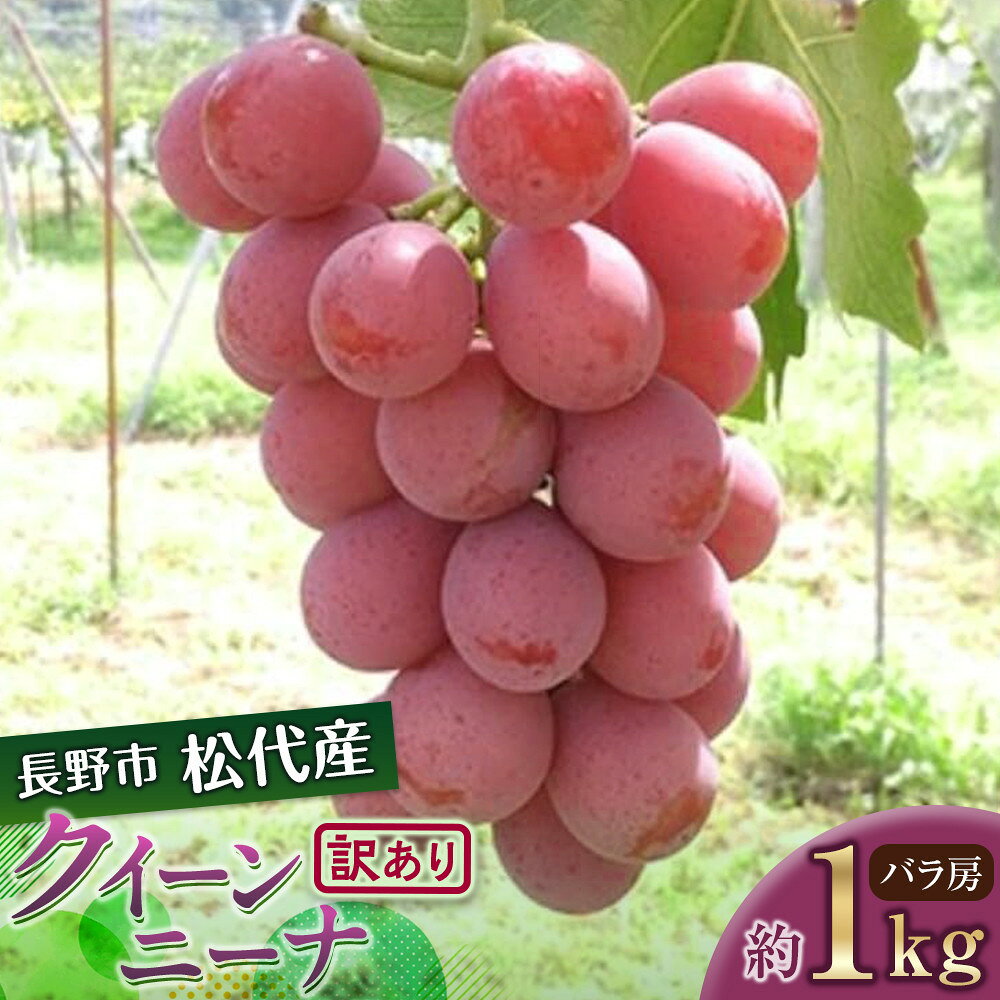 【ふるさと納税】高野農園　ぶどう 長野市松代産 訳ありクイーンニーナ 約1kg バラ房 葡萄 ブドウ 果物 フルーツ デザート おやつ TAKANO農園 信州 果物類 マスカット ギフト 手土産 | クイーンニーナ 長野 信州 ふるさと納税