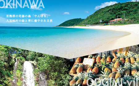 【旅行クーポン】沖縄大宜味村 後から選べる旅行9万円分