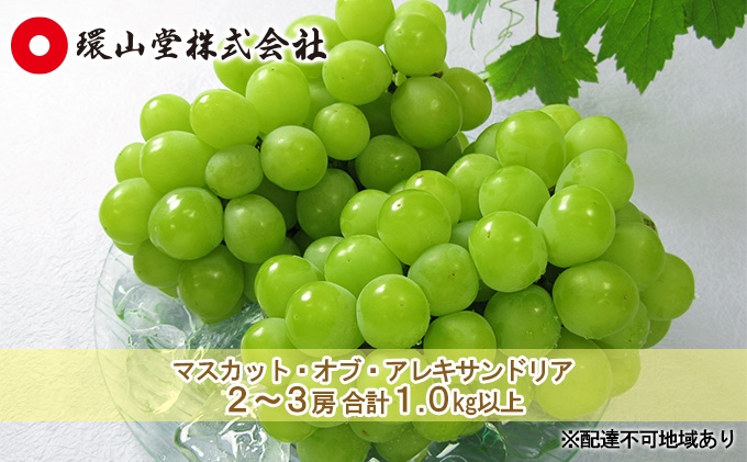 
                  [№5615-0987]ぶどう 2026年 先行予約 マスカット・オブ・アレキサンドリア 2～3房 合計1.0kg以上 マスカット ブドウ 葡萄  岡山県産 国産 フルーツ 果物 ギフト 環山堂
                