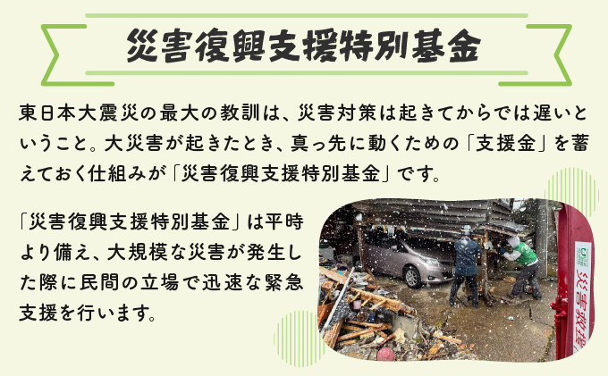 日本財団災害復興支援特別基金への寄附【災害支援】（返礼品なし）【MRI-AiD】【寄付額：5000円】【pr-0901-3】