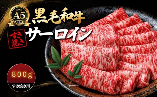 A5鳥取県産黒毛和牛サーロイン すき焼き用(計800g) 【鳥取県 境港市】