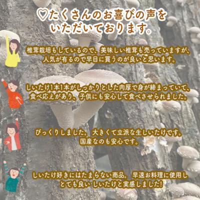 ふるさと納税 小田原市 ご飯のお供に。おかず3種レギュラーセット |  | 03