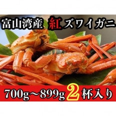 魚卸問屋のベニズワイガニ700～800g級×2杯