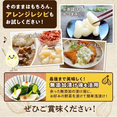 ふるさと納税 南九州市 鹿児島県産砂丘らっきょう塩漬け1.8キロ |  | 02