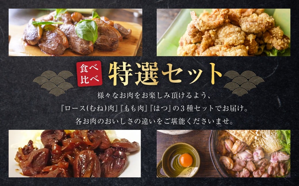 『京鴨』鴨肉 ふるさと 特選 セット（3パック（合計約900g））【配達不可：離島】