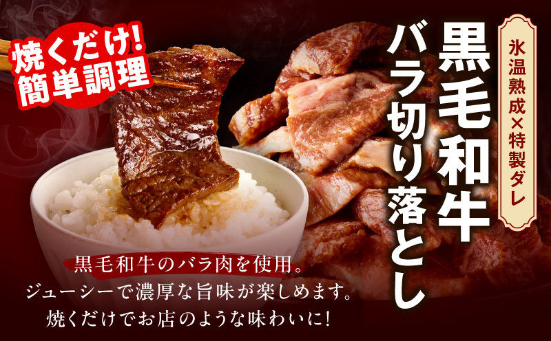 2025年 焼肉 福袋 4種 2kg【氷温熟成×特製ダレ 500g 小分け 牛肉 牛タン ヒレ ハラミ バラ 数量限定】 mrz0233_イメージ5