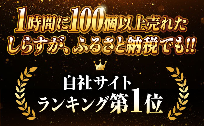 【全12回定期便】鮮度抜群＆水分率80％!ふわふわ釜揚げしらす 1kg 冷凍 シラス 鮮魚 ギフト 海鮮丼 広島県 江田島/三島水産株式会社 [XCN010] 定期便