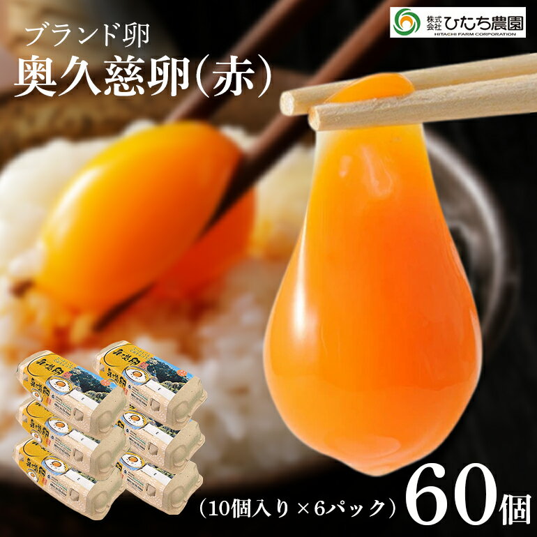 【ふるさと納税】三ツ星レストランや一流料理人が愛するブランド卵『奥久慈卵』 赤 60個 たまご タマゴ ミネラル 茨城県 送料無料 【（株）ひたち農園】 【ho1315】
