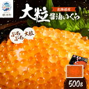 【ふるさと納税】【令和6年新物】北海道産　【大粒】醤油いくら　500g×1【配送不可地域：離島】【1468293】