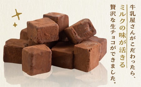 生チョコレート  2箱(1箱12粒入り)   生クリーム使用 チョコレート スイーツ 冷凍 洋菓子 ギフト 贈答 贈り物 プレゼント 牧成舎 ホワイトデー[Q2332x]