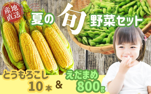 【先行予約】木内ファーム 夏の旬野菜（とうもろこし・枝豆）セット(2025年7月下旬発送〜） (7-A14)