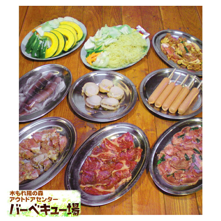 【ふるさと納税】【21世紀の森と広場】バーベキュー腹八分目コース（5名様分）　BBQ