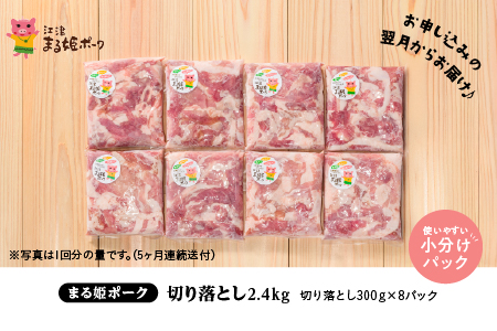 【 5ヶ月 定期便 】 まる姫ポーク 豚肉 切り落とし 2.4kg ×5回配送 【計12kg】 AK-20 小分け 冷凍 定期