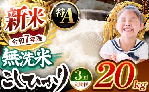 【令和7年度新米先行予約】栃木県産コシヒカリ 無洗米 20kg 定期便3回 【栃木県共通返礼品】| 定期便 お米 米 こめ 洗米 新米 無洗米 コシヒカリ こしひかり 美味しい お弁当 選べる ふるさと 納税 栃木県 矢板市