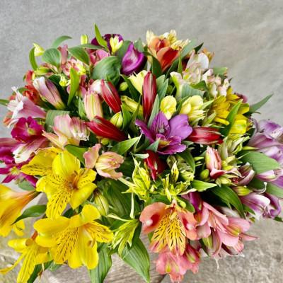 ふるさと納税 飯島町 アルストロメリア 切花(色・品種おまかせ) 40センチ20本