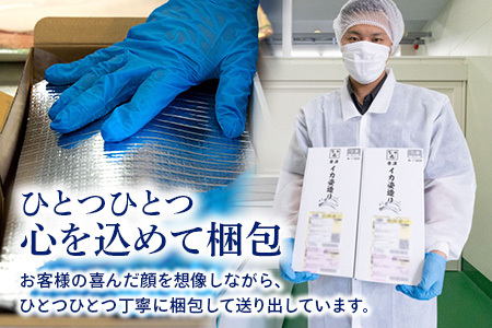 『先行予約』唐津呼子産いか活造り 1杯(約350g前後) 急速冷凍 新鮮そのまま食卓へ！イカ 刺身 簡単 ギフト ※水揚げあり次第6月以降順次発送させていただきます。