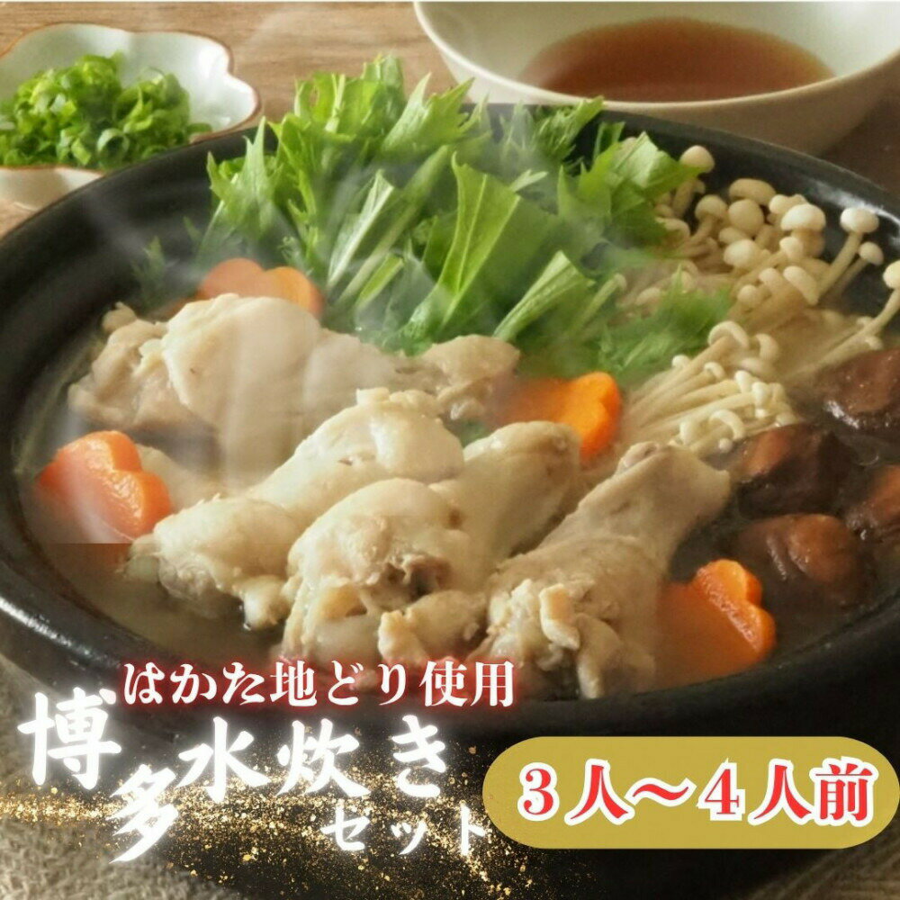 【ふるさと納税】【福岡グルメ】はかた地どり使用博多水炊きセット 3～4人前