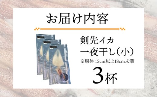 剣先イカ 一夜干 （小） 3杯 《壱岐市》【株式会社マルショウ】 いか イカ 剣先いか セット おつまみ 一夜干し [JEW005] 13000 13000円 のし ギフト