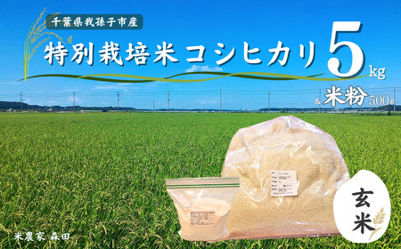 【冷めても美味しい】農家直送 千葉県産 特別栽培米コシヒカリ 5kg（玄米）と米粉のセット