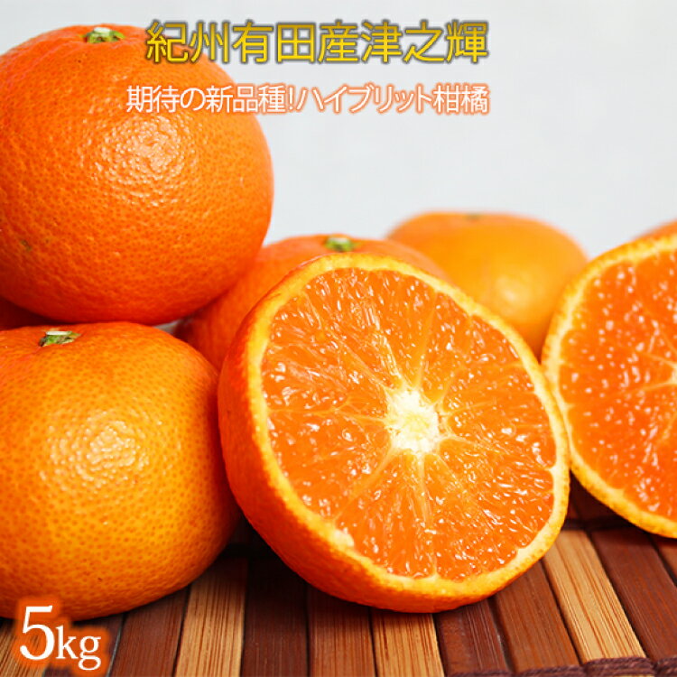 【ふるさと納税】 津之輝(つのかがやき)　5kg【予約】※2026年2月上旬頃～2026年2月下旬頃に順次発送予定(お届け日指定不可) / みかん 果物 フルーツ 柑橘 オレンジ 和歌山県 ありだ 有田みかん くだもの