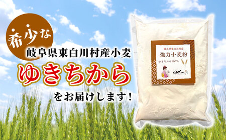 強力小麦粉 ゆきちから 3kg（1kg×3袋） 岐阜県 東白川村産 小麦 国産 お取り寄せ 強力粉 小麦粉