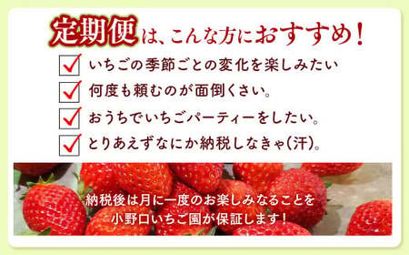 【定期便】＜いちご3ヶ月定期便＞先行受付 とちあいか とちおとめ 300g以上2パック計3回 | 完熟 ※2027年1月～発送