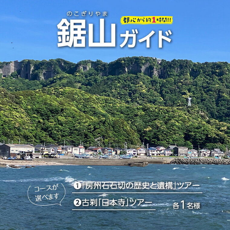 【ふるさと納税】ガイド ツアー 鋸山 おすすめ 体験 登山 山 ハイキング ハイク 旅行 旅 レジャー 低山 トレッキング 自然 海 絶景 歴史 富津市 金谷 スポット 名所 ラピュタの壁 地獄のぞき 道の駅 保田小学校 古刹 日本寺 仏教 大仏 石像 羅漢像 美術館 資料館