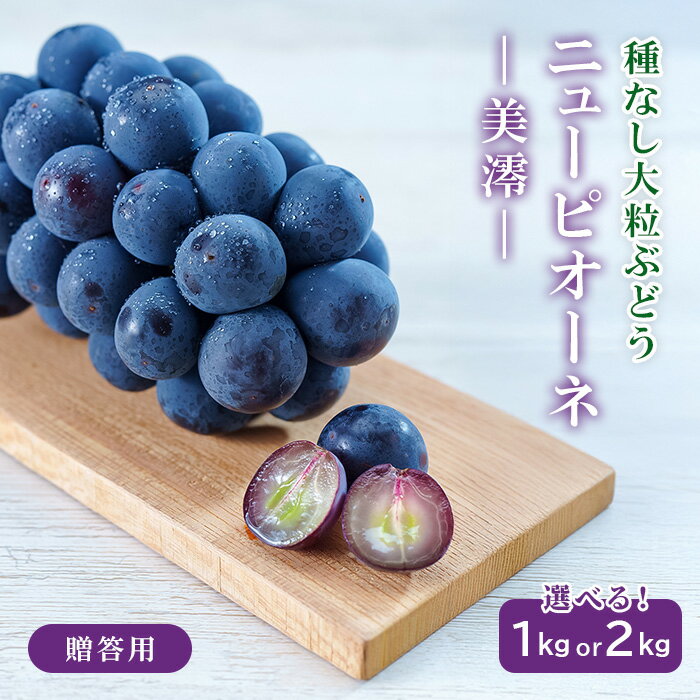 【ふるさと納税】岡山県産 ぶどう 葡萄 ブドウ 種無しぶどう 果物 スイーツ フルーツ お取り寄せ ギフト 贈答用 デザート 井原市美星町産ニューピオーネ「美澪」 贈答用【2026年8月下旬～9月中旬発送予定】