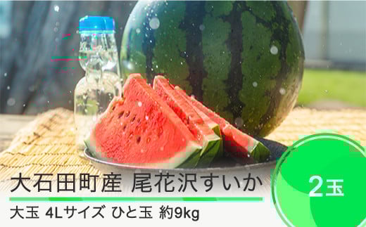 尾花沢すいか 大玉  4L×2玉 2025年産 令和7年産  すいか スイカ ja-suooa4