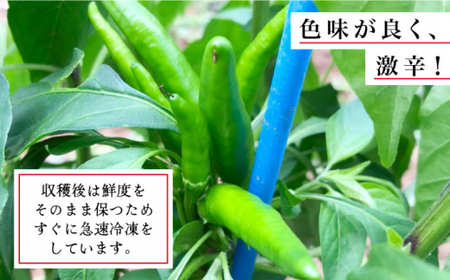 那珂川産 冷凍 赤唐辛子 （激辛）1kg＜マルワ産業株式会社＞那珂川市 野菜 唐辛子 18000 18000円 [GDI002]