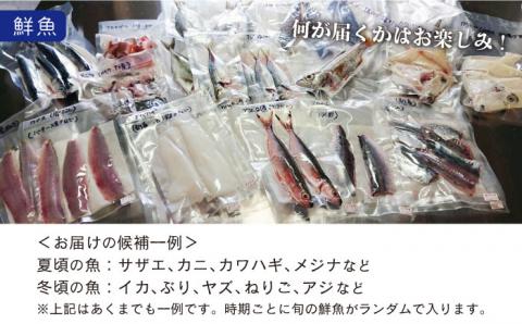 五島よかとこ便 特選鮮魚入り 野菜 加工品 おまかせ お楽しみ セット 五島市/GOTO Challenged 椿 [PDU002]