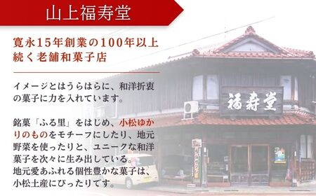加賀銘菓「ふる里」10個入り カステラ チョコ 銘菓 カステラ チョコ dv001n00