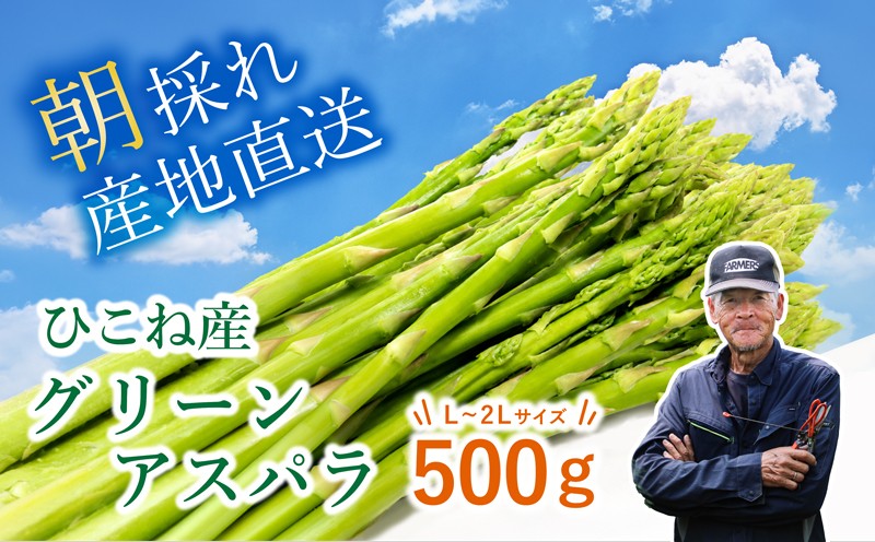 
                  【先行予約】 グリーンアスパラ 500g ( L~2L ) 夏芽 アスパラガス アスパラ 夏アスパラ ひこねアスパラ 朝採 新鮮 春野菜 夏野菜 野菜 やさい 滋賀 彦根
                