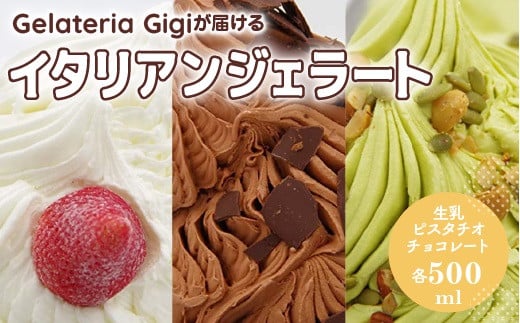 
            ジェラテリアGigiのイタリアンジェラート 人気の味の3種セット 【500mlサイズ×3個】 ジェラート 生乳 ミルク ピスタチオ チョコレート チョコ アイス 500ml gigi 恵庭市 北海道 ふるさと納税 お取り寄せ グルメ 詰め合わせ【43000301】
          