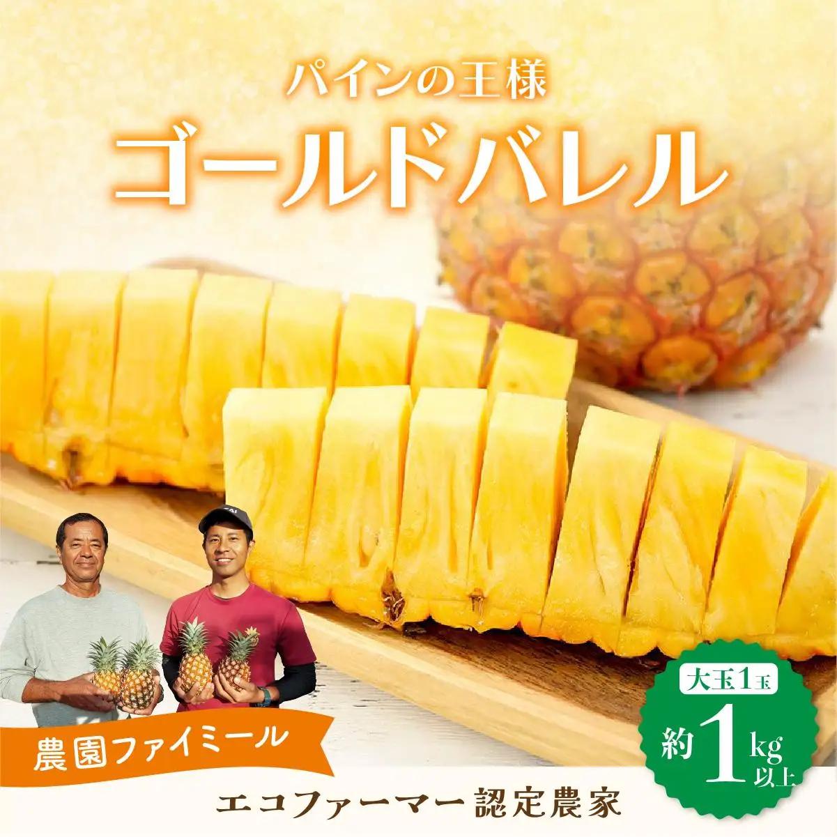 最高級 パイン 完熟 ゴールドバレル 1.0kg