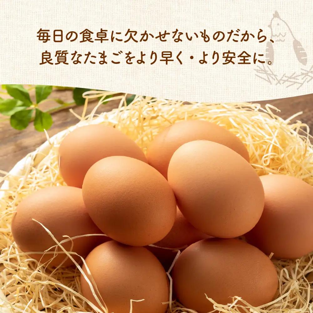 卵 紅花たまご M～Lサイズ 10個×3パック 計30個 卵