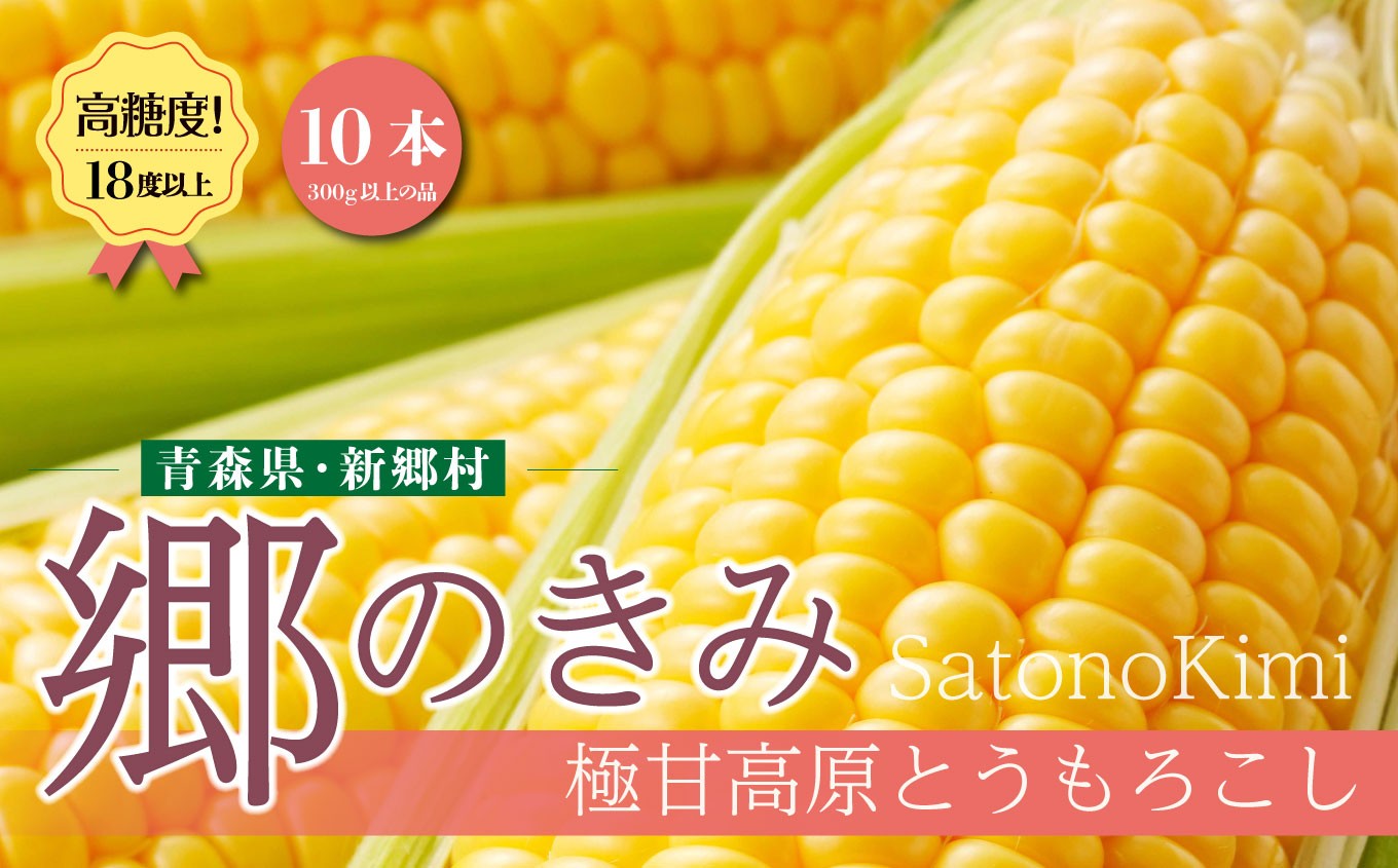 
            【三つ星フレンチの食材に選ばれたとうもろこし】「郷のきみ」10本【期間限定・数量限定】
          