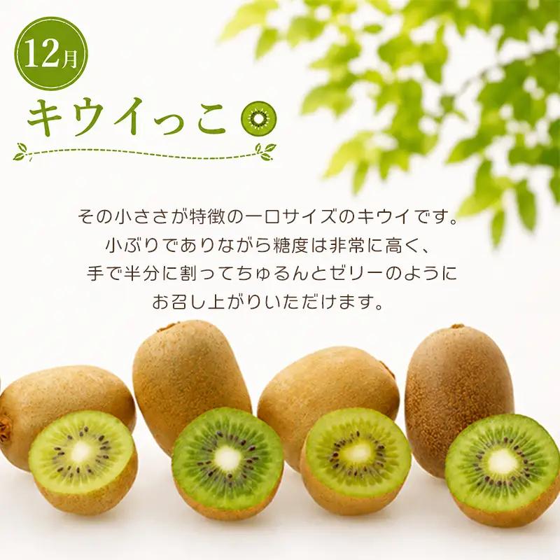【定期便3回】 いちご キウイ みかん さぬきひめ 小原紅早生 キウイっこ