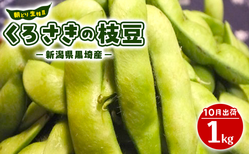 
            先行予約 朝どり 生枝豆 くろさきの枝豆 1kg 2025年10月発送 新潟県黒埼産 生 枝豆 えだまめ えだ豆 新潟
          