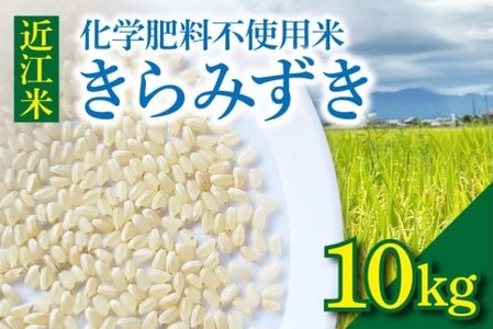 【令和8年】先行予約　近江米『きらみずき』　化学肥料不使用米　10キロ（鮮度保持袋）