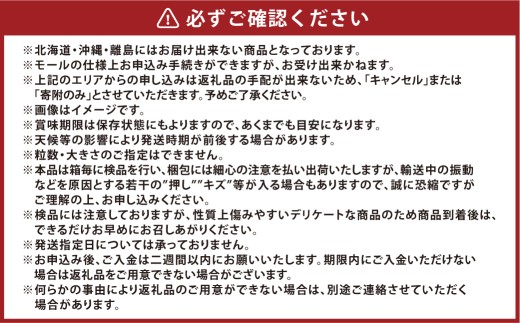 温室 シャインマスカット 晴王 1房 約700g