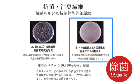 ＜ 今治タオルブランド認定品 ＞ 天然由来の抗菌タオル 「柿渋染め 古来の彩（いろ）」　バスタオル 1枚（カラー 選択可能） 深川鼠/青鈍/小豆色/江戸紫/苅安色/茜