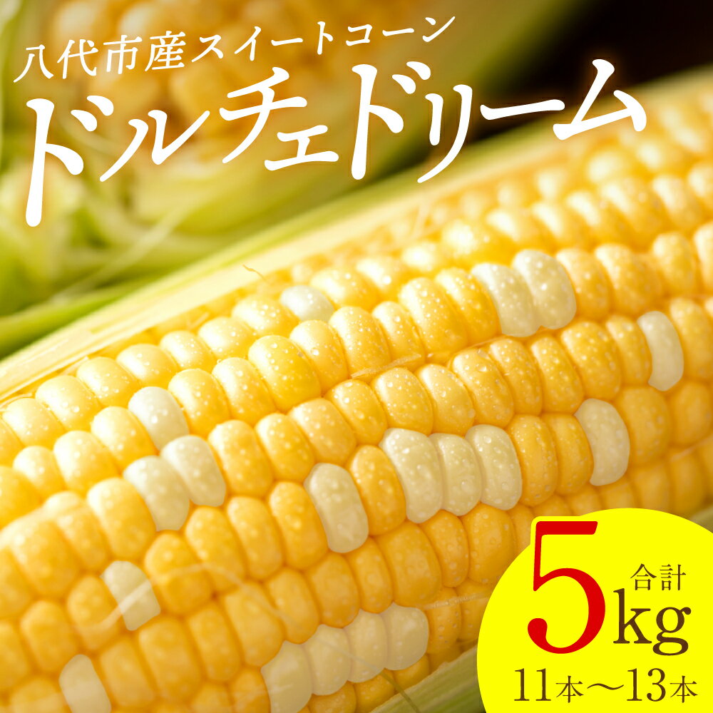 【ふるさと納税】【先行予約】 スイートコーン5kg(11本～13本) ドルチェドリーム とうもろこし コーン 野菜 やさい 新鮮 冷蔵 BBQ おつまみ 送料無料 【2026年5月中旬より順次発送】
