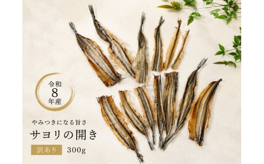【 令和8年産 】 【 訳あり 】 やみつき サヨリ の 干物 （ 300 g ） ｜ 訳アリ 海の幸 海産物 乾物 細魚 魚 つまみ  晩酌 産地直送 珍味 瀬戸内 山口県 平生町
