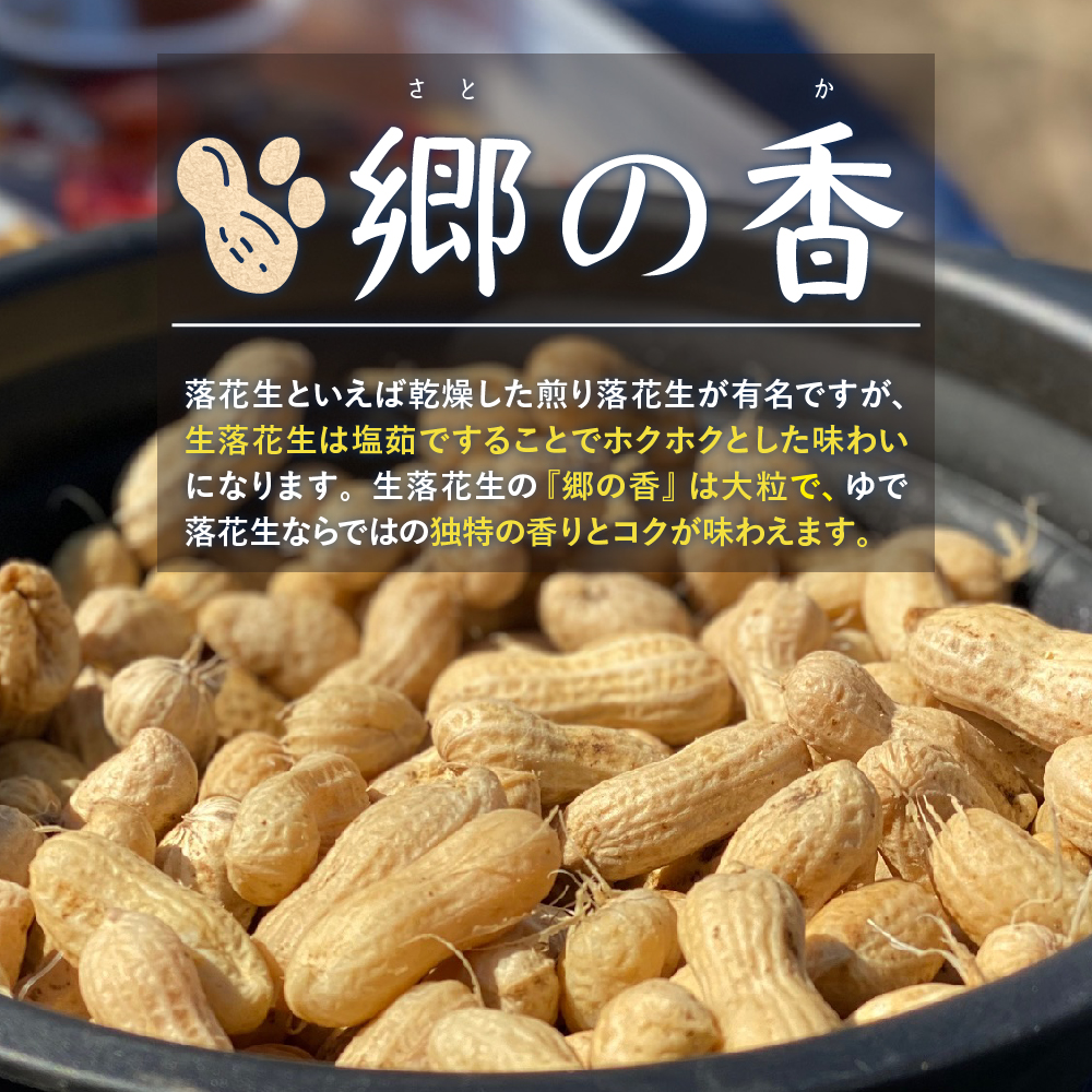 【先行受付】【2025年出荷分】北海道十勝芽室町 生落花生 茹で用 郷の香 1kg me028-003c-25