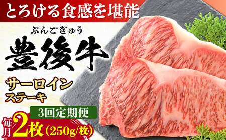 【全3回定期便】おおいた豊後牛 サーロインステーキ 500g (250g×2枚) 日田市 / 株式会社MEAT PLUS　肉 牛肉 和牛[AREI056]