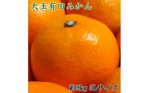 
            【食べごたえ十分】有田みかん大玉9kg（3Lサイズ・秀品） ※2025年11月中旬～2026年1月中旬頃より順次配送予定
          